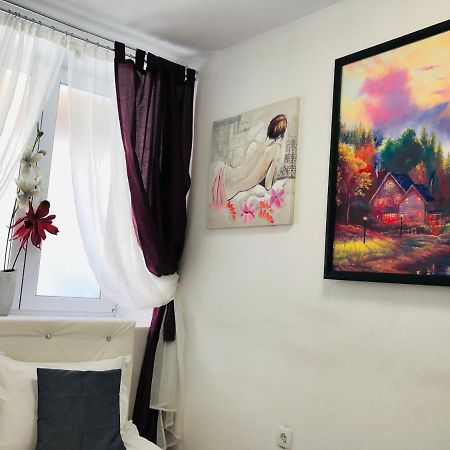Central Petit Room Braşov Dış mekan fotoğraf